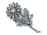 Victorian diamond daisy brooch